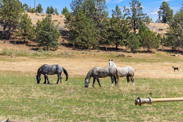 35429 McCartie Lane, Bonanza, OR 97623