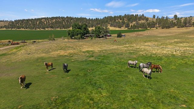 35429 McCartie Lane, Bonanza, OR 97623