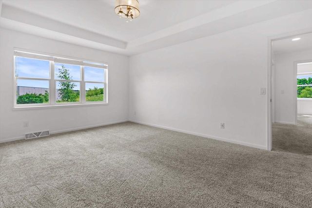 17 Rustling Birch Court, Verona, WI 53593