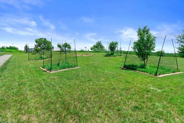 17 Rustling Birch Court, Verona, WI 53593