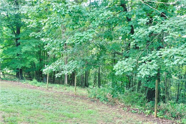 110 Horse Ridge Drive, Grantsville, WV 26147