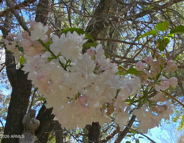 184 E HILLTOP Drive, Young, AZ 85554