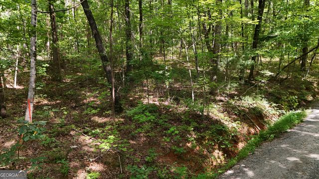 LOT 183 Hillside Drive, Clarkesville, GA 30523