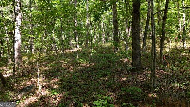 LOT 183 Hillside Drive, Clarkesville, GA 30523