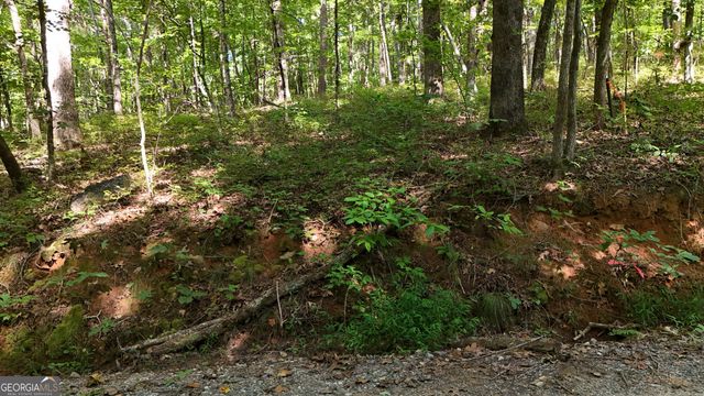 LOT 183 Hillside Drive, Clarkesville, GA 30523