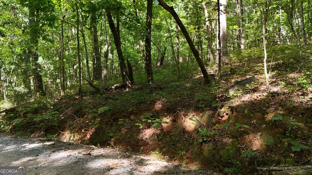 LOT 183 Hillside Drive, Clarkesville, GA 30523