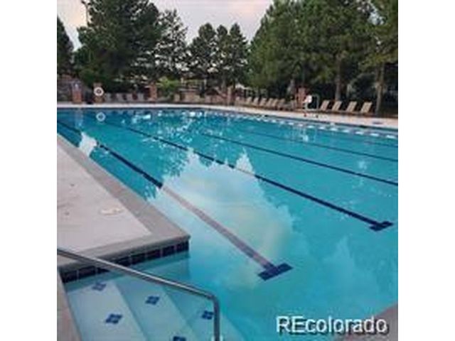 7123 Shoreham Dr, Castle Pines, CO 80108