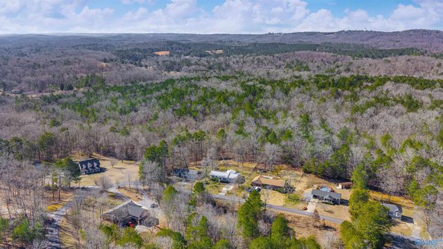 4007 Lyndale Drive, Fort Payne, AL 35968