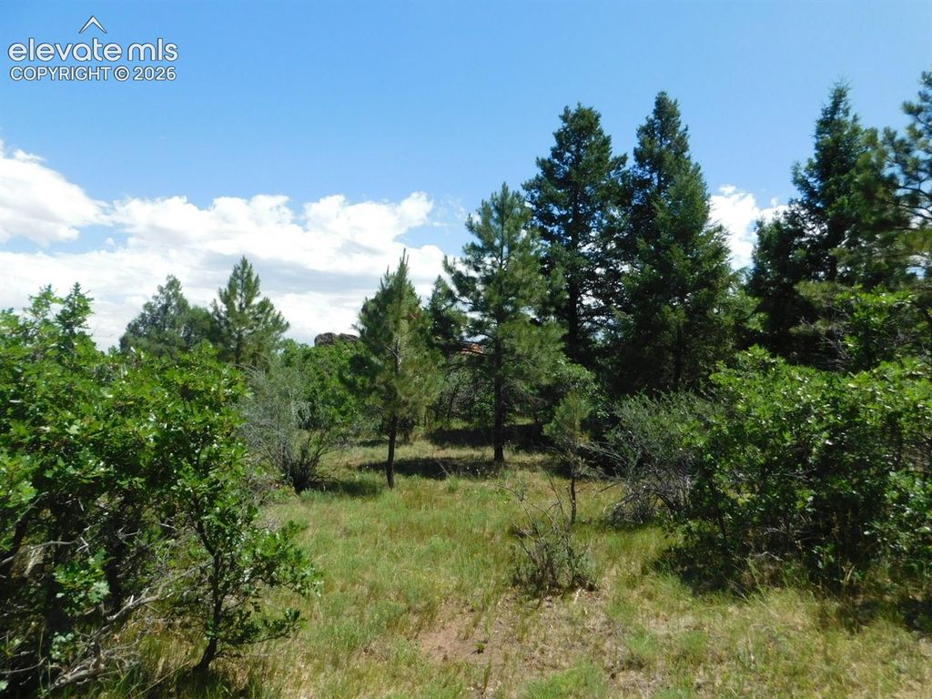 6447 Thunderbird Road, Larkspur, CO 80118 — exterior
