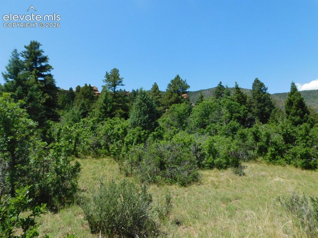 6447 Thunderbird Road, Larkspur, CO 80118 — photo 2