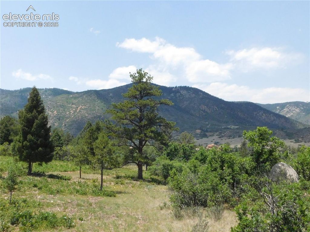 6447 Thunderbird Road, Larkspur, CO 80118 — photo 3