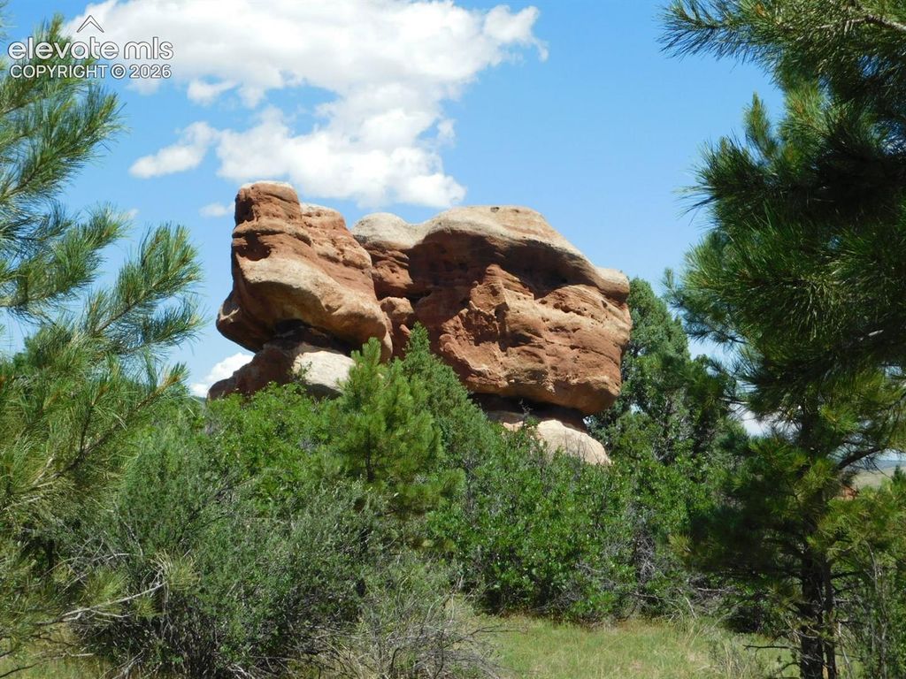6447 Thunderbird Road, Larkspur, CO 80118 — photo 4