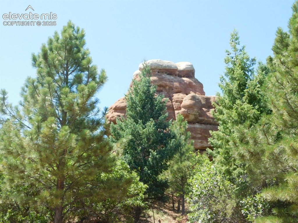 6447 Thunderbird Road, Larkspur, CO 80118 — photo 5