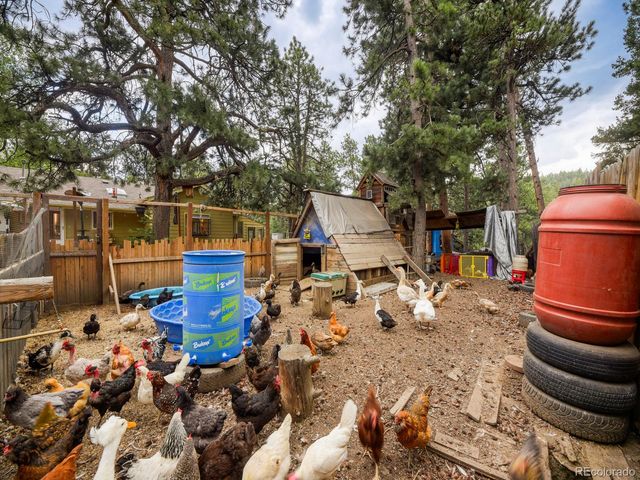 6569 Kiem Road, Evergreen, CO 80439