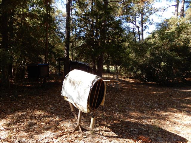 1 Brandon Road, Huntsville, TX 77320