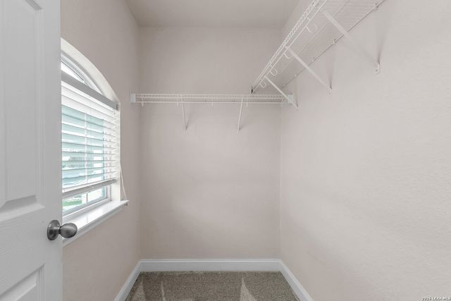 21531 La Pena, San Antonio, TX 78258