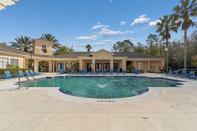 5125 PALM SPRINGS BOULEVARD 4305, Tampa, FL 33647