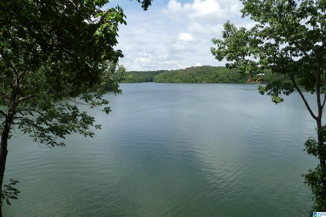45 COUNTY ROAD 2402, Wedowee, AL 36278