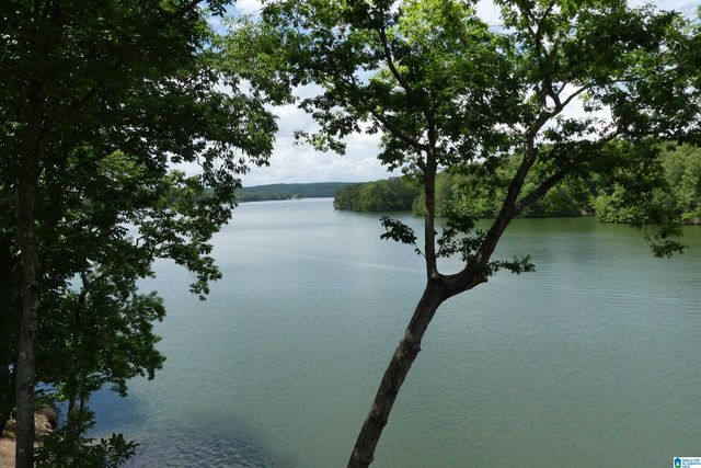45 COUNTY ROAD 2402, Wedowee, AL 36278
