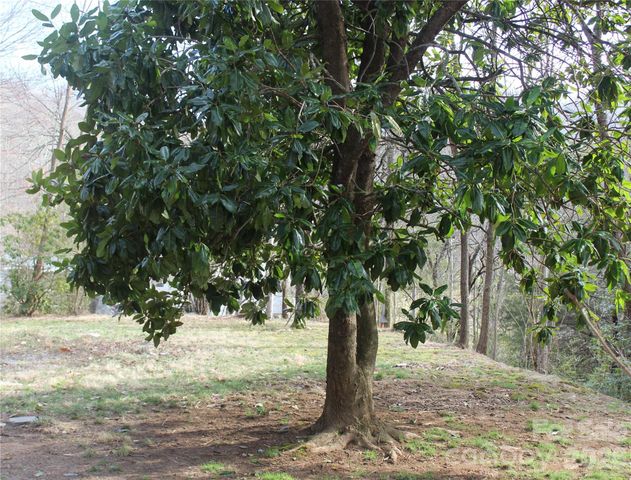 55 Celestial Lane, Whittier, NC 28789