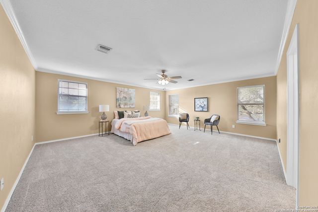 11502 Windwalk, San Antonio, TX 78253