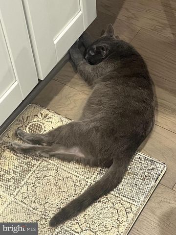 5207 WILTON HEIGHTS AVE, Baltimore, MD 21215