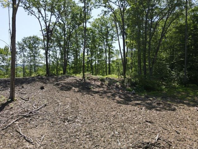 0 Denio Road, Barnet, VT 05821