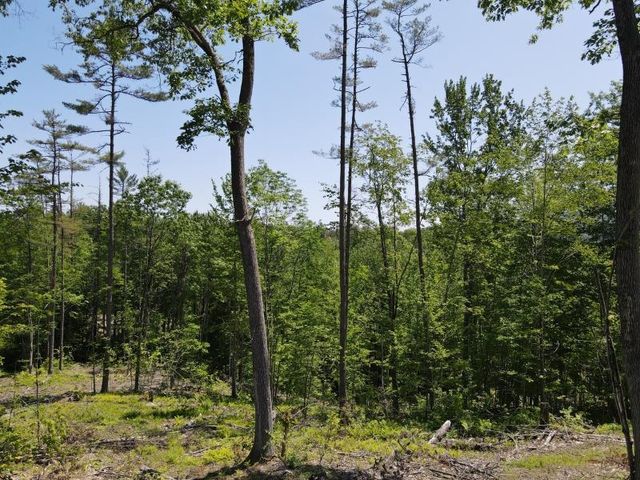 0 Denio Road, Barnet, VT 05821