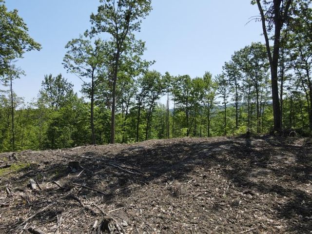 0 Denio Road, Barnet, VT 05821