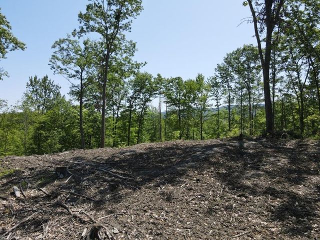 0 Denio Road, Barnet, VT 05821