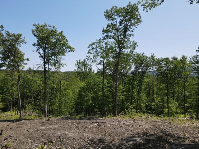 0 Denio Road, Barnet, VT 05821