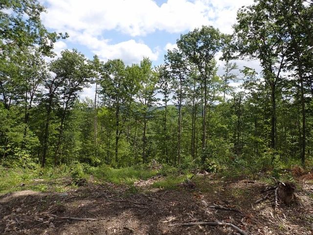 0 Denio Road, Barnet, VT 05821