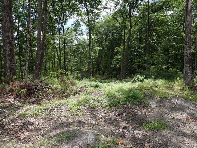 0 Denio Road, Barnet, VT 05821