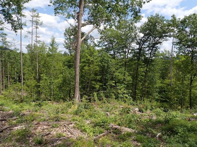 0 Denio Road, Barnet, VT 05821