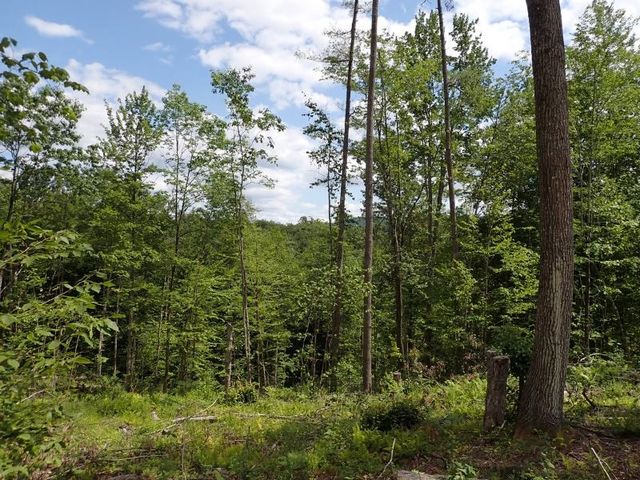 0 Denio Road, Barnet, VT 05821