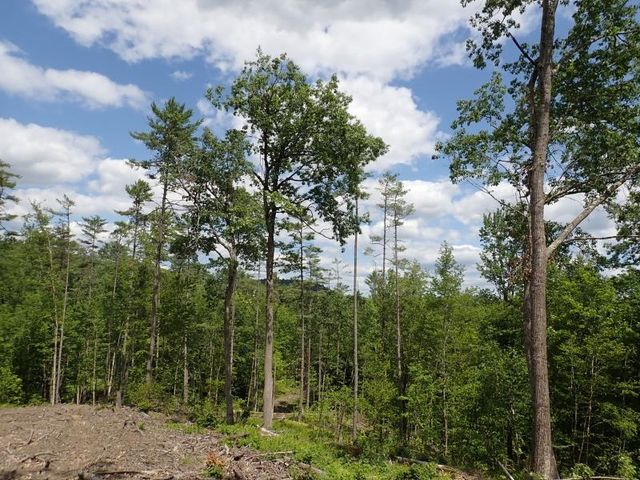 0 Denio Road, Barnet, VT 05821