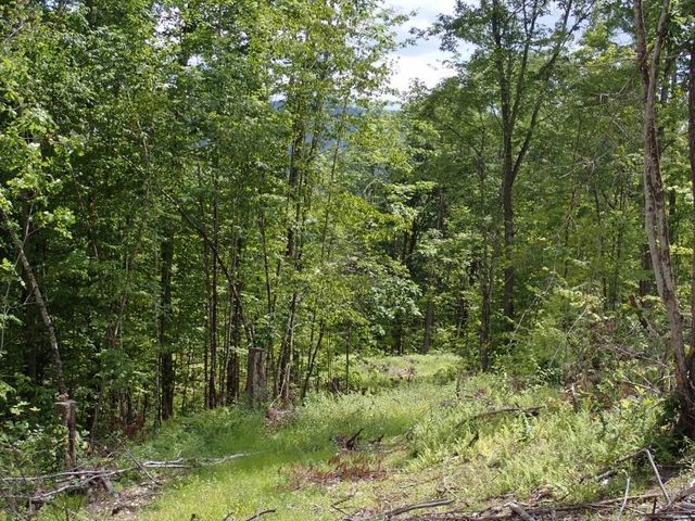 0 Denio Road, Barnet, VT 05821