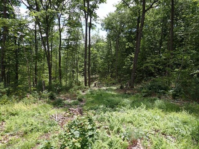 0 Denio Road, Barnet, VT 05821