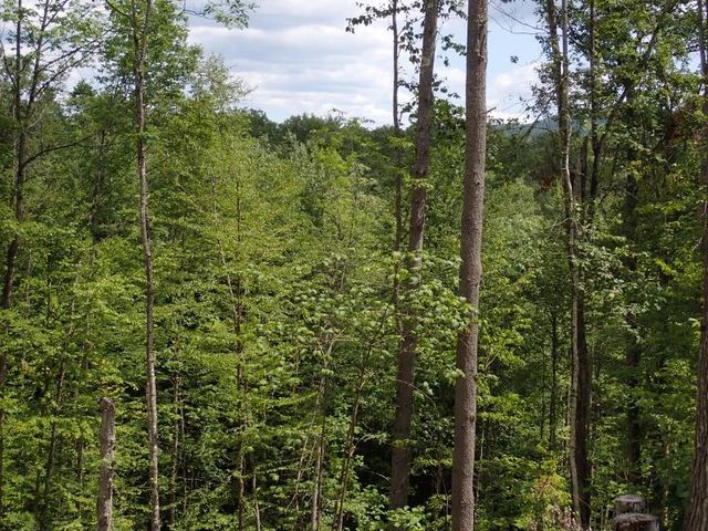 0 Denio Road, Barnet, VT 05821