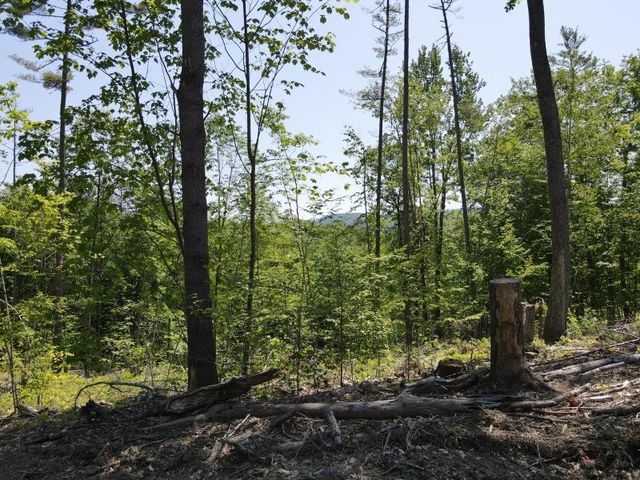 0 Denio Road, Barnet, VT 05821