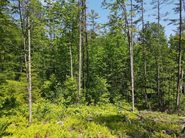 0 Denio Road, Barnet, VT 05821