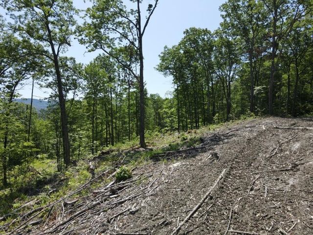 0 Denio Road, Barnet, VT 05821