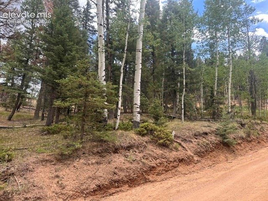 687 Trout Haven Road, Florissant, CO 80816 — exterior