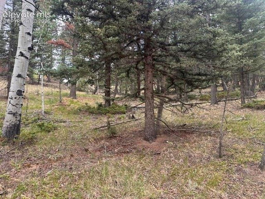687 Trout Haven Road, Florissant, CO 80816 — photo 2