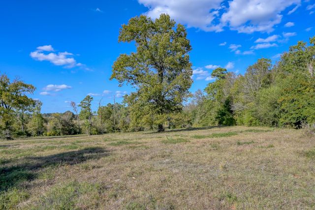 100 ACRES Spring Branch Road, Montgomery, TX 77316