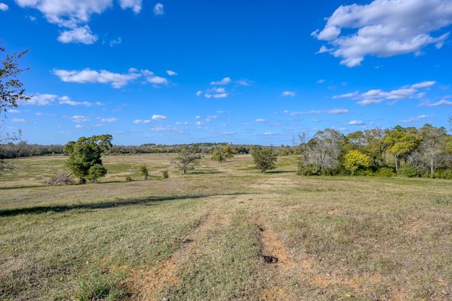 100 ACRES Spring Branch Road, Montgomery, TX 77316