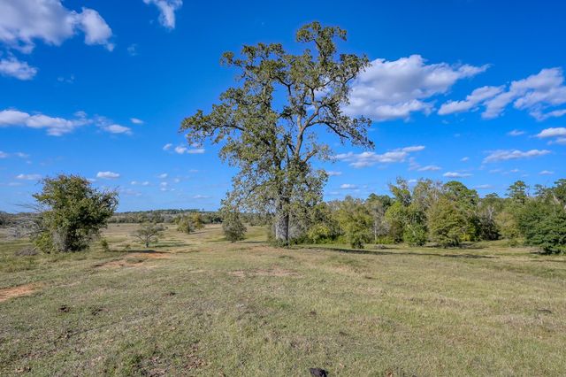 100 ACRES Spring Branch Road, Montgomery, TX 77316