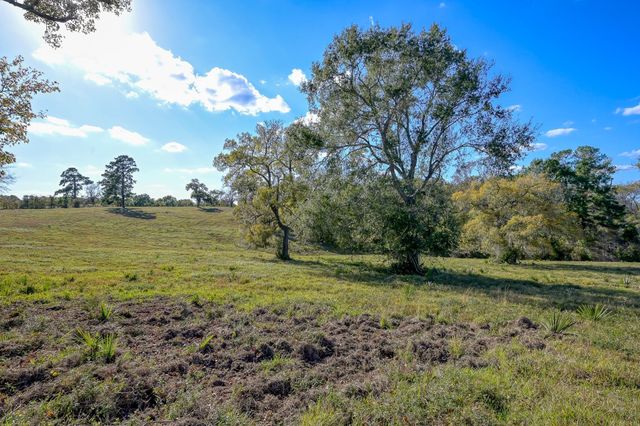 100 ACRES Spring Branch Road, Montgomery, TX 77316