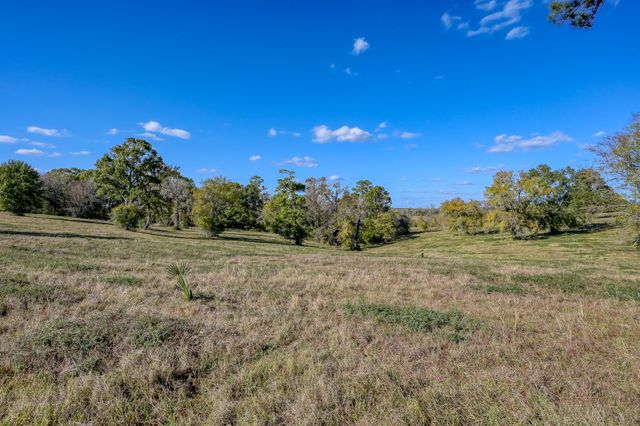 100 ACRES Spring Branch Road, Montgomery, TX 77316