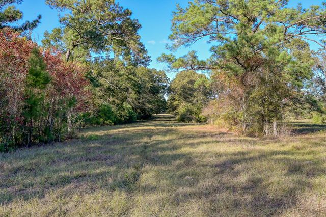 100 ACRES Spring Branch Road, Montgomery, TX 77316